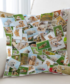 Golden Retriever Pictures Cushion Cover